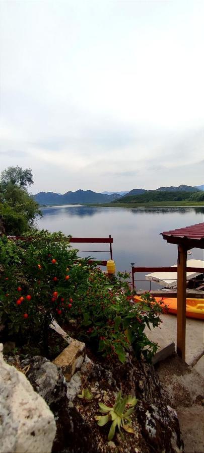 Old House, Skadar Lake Cetynia Zewnętrze zdjęcie